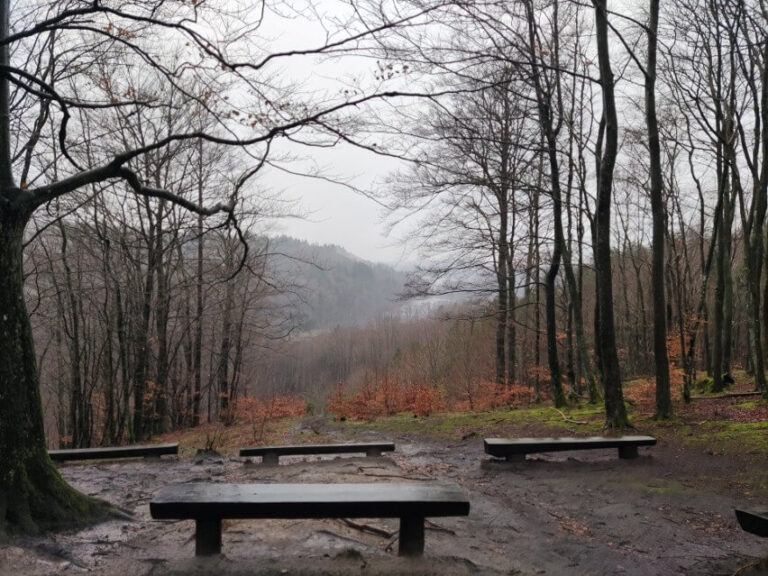 Rezerwat przyrody Szczelina Lechicka