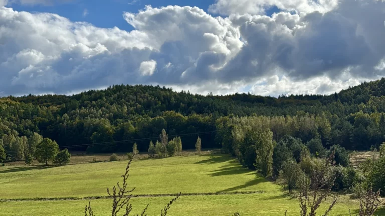 Gdzie pójść na spacer na Kaszubach?